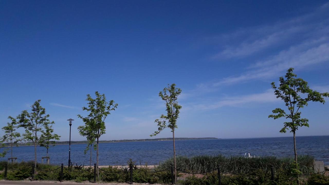 Villa U Przyjaciol 雷瓦 外观 照片